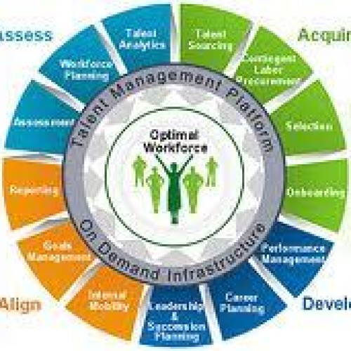 Talent management